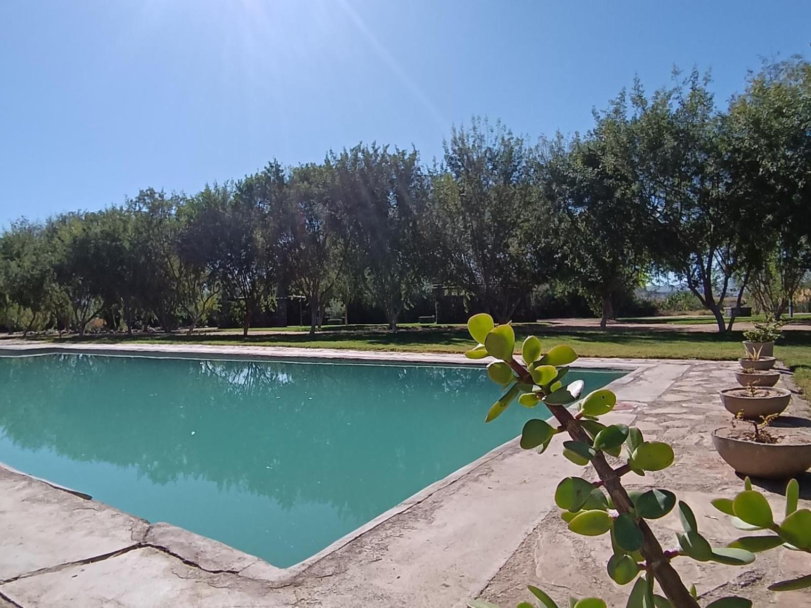 Kwelanga River Lodge Vioolsdrif Exterior photo